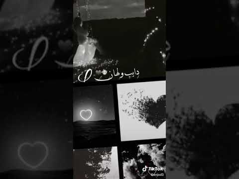 دخلك يا ليل وائل كفوري حالات واتس اب