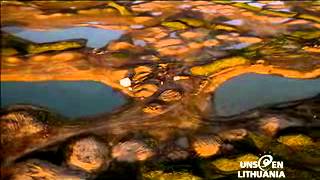 Paysages lituaniens