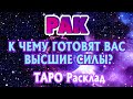 РАК 🧚‍♀️🧚‍♀️🧚‍♀️♋ К ЧЕМУ ГОТОВЯТ ВАС ВЫСШИЕ СИЛЫ Таро Расклад гадание онлайн