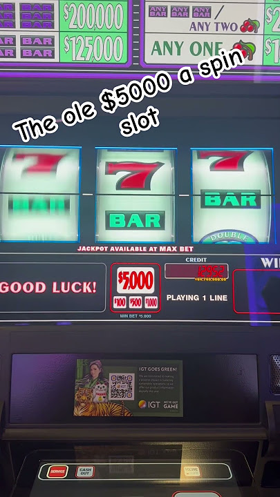 $5000 Dollars Per SPIN on Slot Machines and Got SHOCKING Results! Buffalobobap.com to learn to win