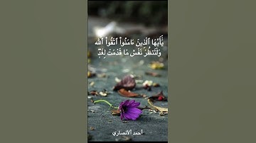 تلاوة مباركة من سورة الحشر. الشيخ محمد صديق المنشاوي