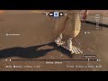 Skate