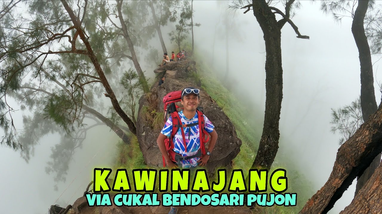 PENDAKIAN GUNUNG KAWINAJANG 2651MDPL