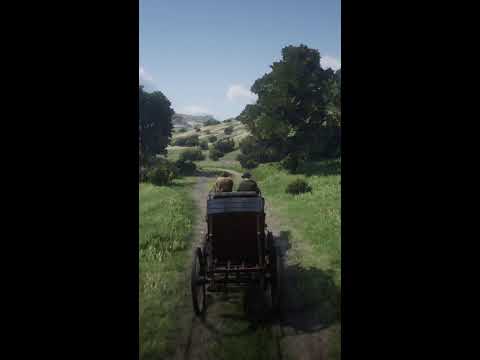 RDR2 LIVE GAMEPLAY #live #rdr2 #rdr2live #livegameplay