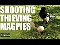 AirHeads - Shooting Thieving Magpies (episode 6)