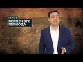 Герои Пермского периода. Александр Жунев