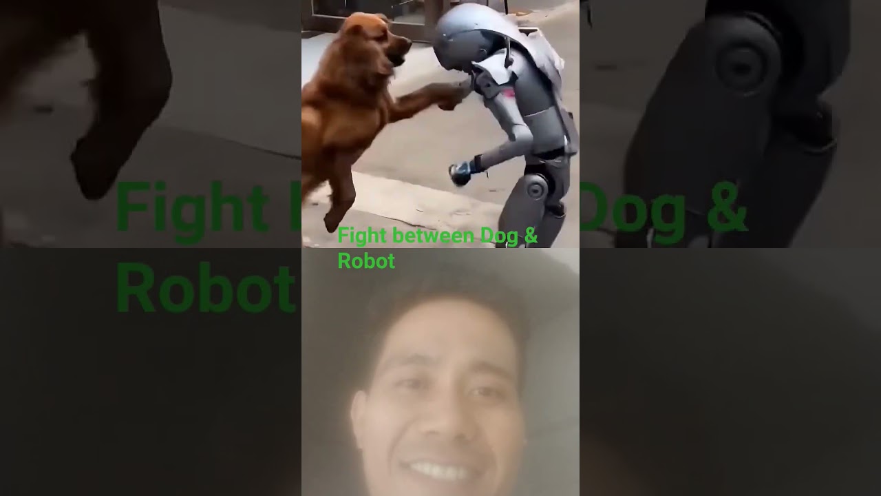 Fight between Dog and Robot 