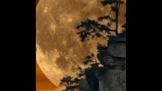 صوت جميل ما شاء الله / جابر القيطان