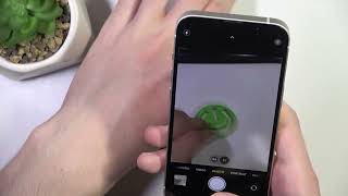 How to Take Live Photo on iPhone 16e screenshot 3