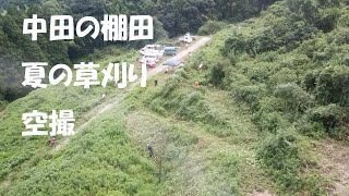 中田の棚田復活への道　夏の草刈り  ドローン空撮バージョン