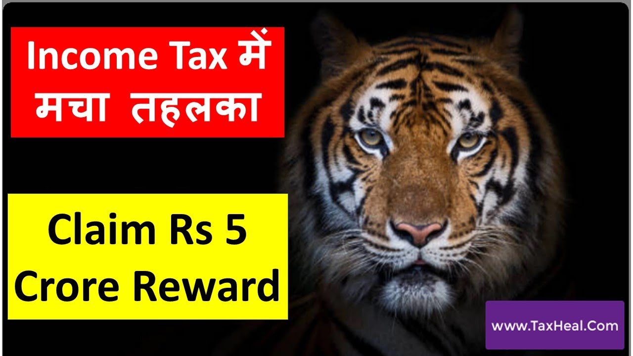 New Change Enabled on Income Tax Portal I Claim Rs 5 Crore Reward I CA Satbir Singh