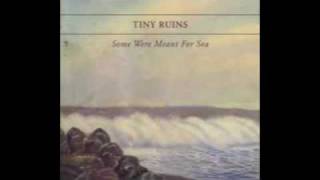 Video thumbnail of "Tiny Ruins - Running Through the Night"