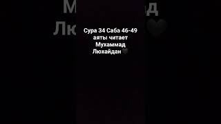 Сура 34 из священного Корана Саба аяты 46-49 #коран#