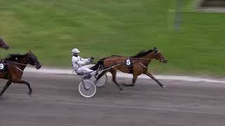 Vidéo de la course PMU PRIX FORDEL STON