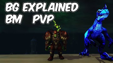BG Explained - 8.0.1 Beast Mastery Hunter PvP - WoW BFA