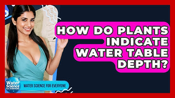 How Do Plants Indicate Water Table Depth? - Water Science For Everyone
