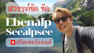 🇨🇭พาเที่ยว Ebenalp and Seealpsee · เที่ยวสวิตเซอร์แลนด์  · Appenzell