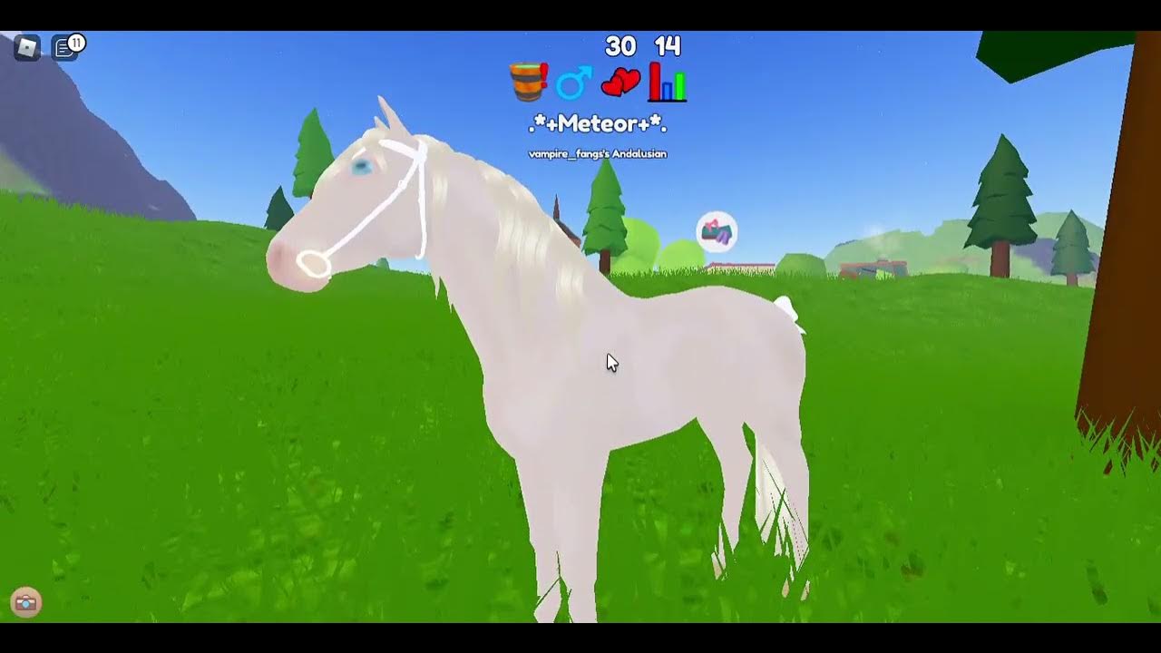 FIZ UMA CORRIDA DE CAVALOS NO ROBLOX - WILD HORSE ISLANDS 