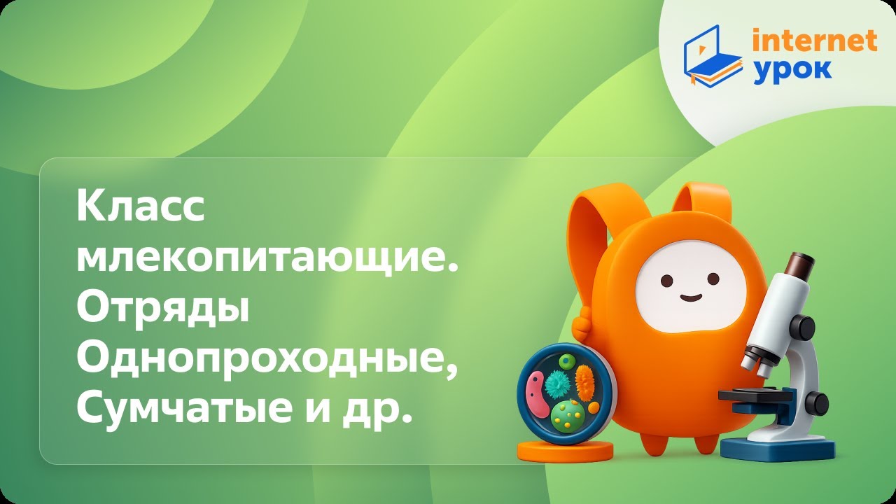 Класс млекопитающие. Отряды Однопроходные, Сумчатые, Насекомоядные и Рукокрылые. Видеоурок
