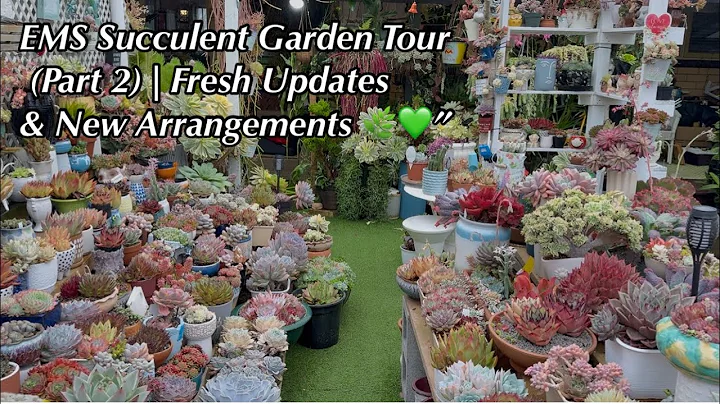 Updated Succulent Garden Tour with EMS 🌸”