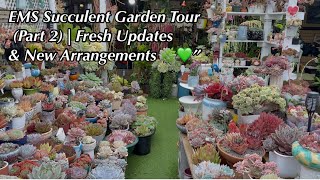 картинка: Обновленный тур по суккулентным садам с EMS 🌸”