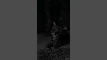 ستوريات دينيه حالات واتس اب دينيه اسلاميه جديده 