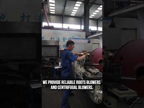 🌍 Professional Blowers for Global Industry  Reliable Air Solutions