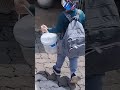 esse já tá sendo meu companheiro de pesca, vamos pegar muitas tilápias