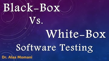 Black-Box vs. White-Box Software Testing