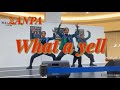ZANPA What a yell モレラ岐阜 2部 2026.4.4
