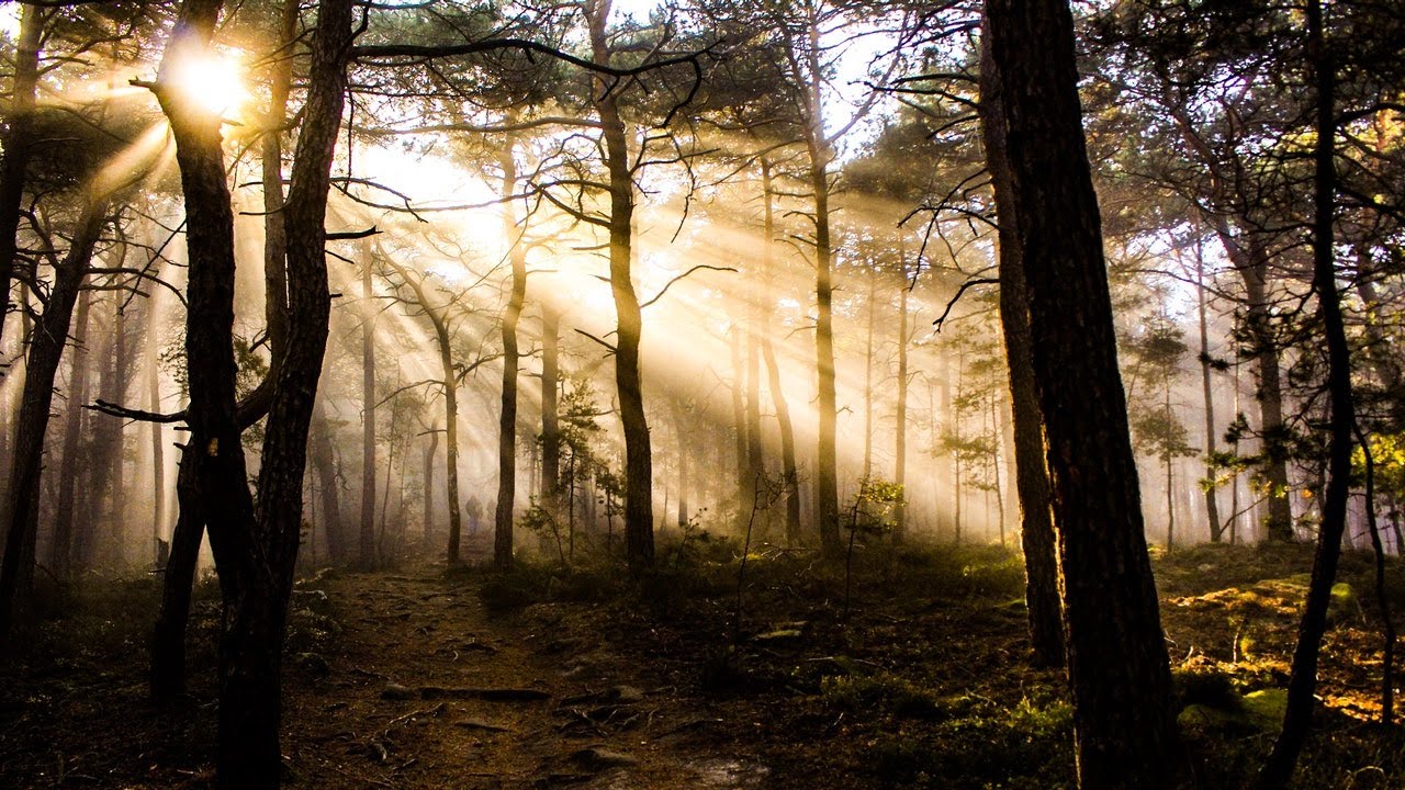 Early Morning Stock Footage - Early Morning Free Stock Videos - Early Morning No Copyright Videos