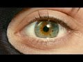 I origins bande annonce