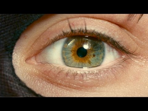 I ORIGINS Bande Annonce