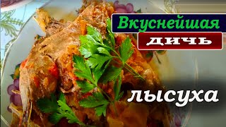 Вкуснейшая дичь. Лысуха Вкуснейшая дичь. Лысуха