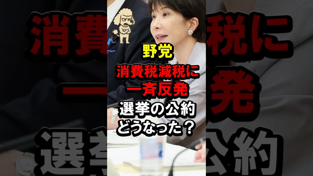 野党、消費税減税に一斉反発、選挙の公約どうなった？ #中道 #中道改革連合 #国民民主党 #給付 #石破茂 #高市早苗 #高市総理