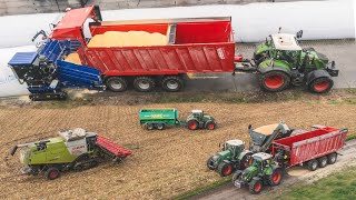NOVÝ EUROBAGGING EB CRAWLER L v lince na sklizeň CCM - CLAAS, Fendt, Krampe..