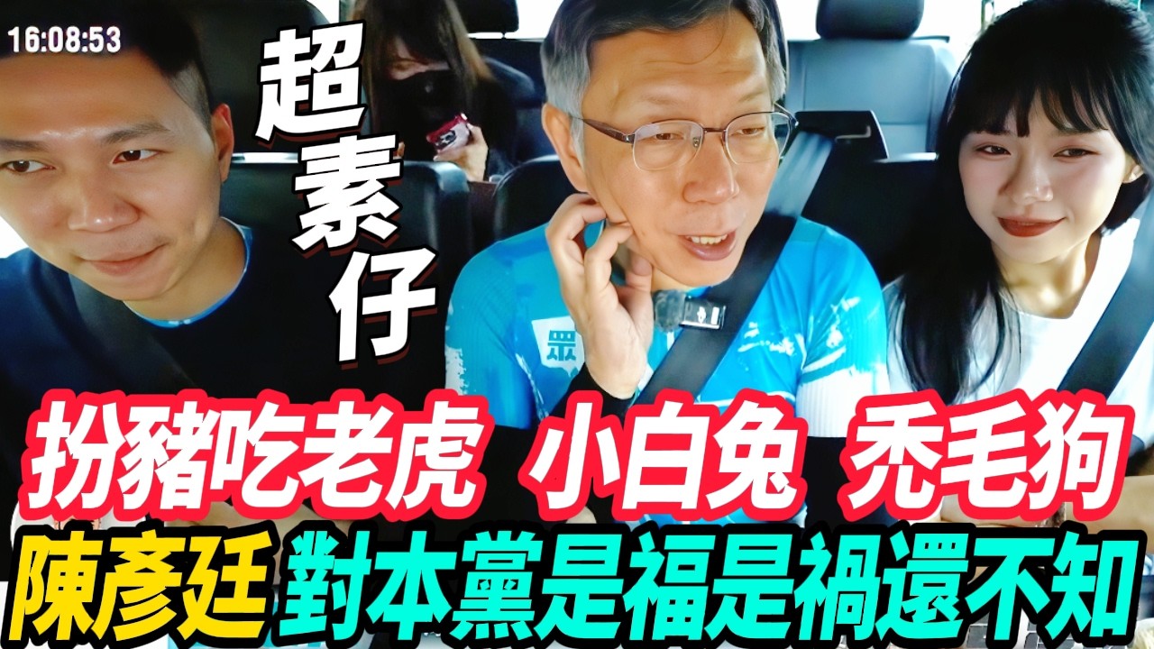 陳彥廷是扮豬吃老虎還是誤入叢林小白兔 或是禿毛狗 ? 柯文哲:對本黨是福是禍還不知 #李頂立 #張彤