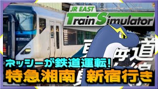 【定期雑談】特急湘南に揺られながらまったり雑談【ネッシーVtuber】