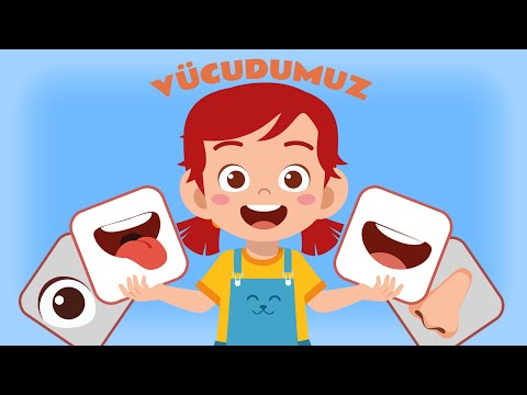 Vücudumuz Şarkısı - Mükemmel Türkçe Eğitici Vücudu Öğreten Çocuk Şarkısı (Bebek Müziği)