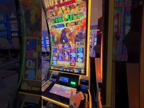 What Are "Book of" Slots and Why Are They Popular?