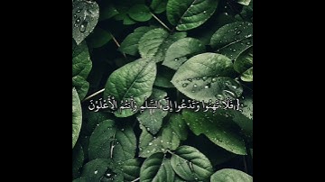 {فَلَا تَهِنُوا وَتَدْعُوا إِلَى السَّلْمِ وَأَنتُمُ الْأَعْلَوْنَ} الشيخ ياسر الدوسري تلاوة خاشعة