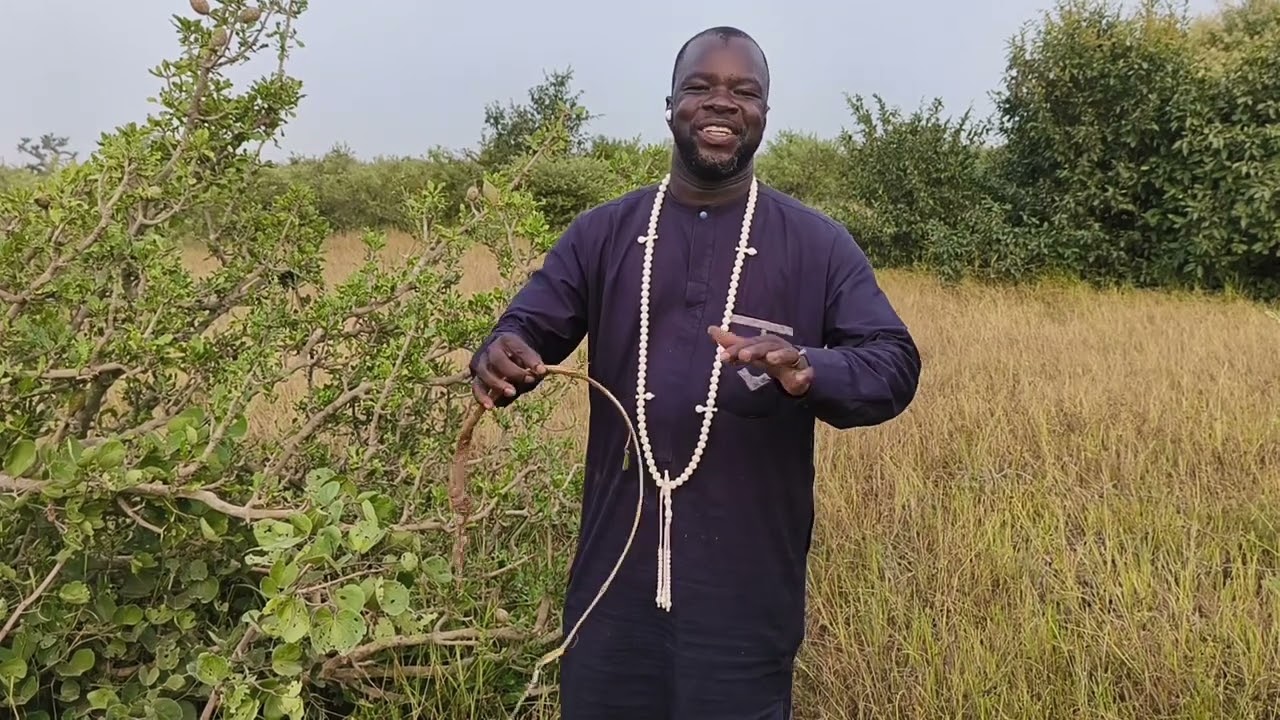 Faida Ayatoullah nº1