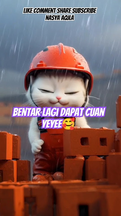 rela kerja kehujanan demi dapat cuan#cat#funny#comedy#cute#trending#youtubeshorts#shorts#viral#fyp