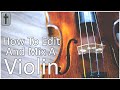 🎚️ How To Edit And Mix A Real Violin