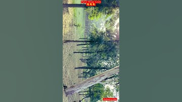 2. the another side of CCS University #Meerut 💚 #youtube #trending #viral #beautiful #green #shorts