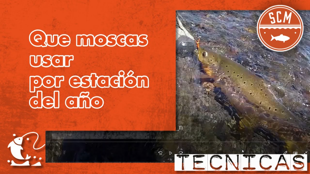 Que moscas usar por estación del año