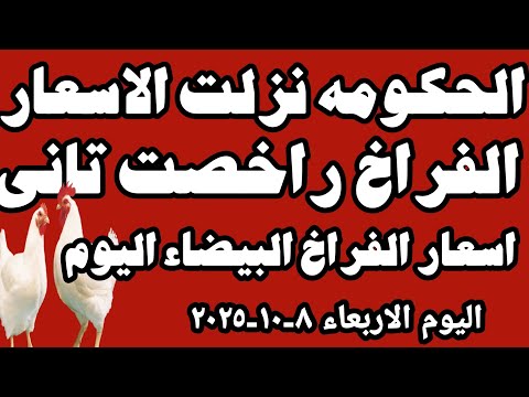 اسعار الفراخ البيضاء اليوم سعرالفراخ البيضاء اليوم الاربعاء ٨ ١٠ ٢٠٢٥ في المحلات في مصر