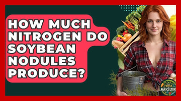 How Much Nitrogen Do Soybean Nodules Produce? - The World of Agriculture