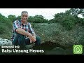 Growing a Greener World Episode 912: Bats - Unsung Heroes