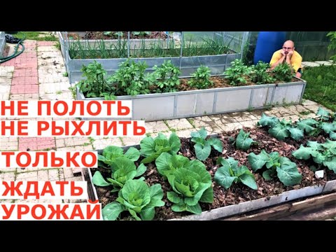 Видео: Как покончить с работой в огороде уже в июне и ждать урожай?